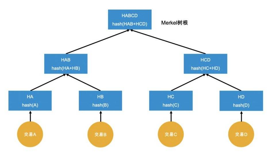  Vitalik 发推解释「多项式承诺」，它能给以太坊带来哪些好处？