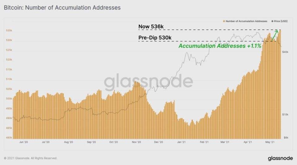 Glassnode 数据洞察丨比特币大幅下挫，长线持有者仍在买入