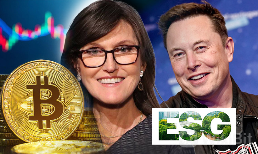 cathie-wood-criticizes-elon-musk-and-esg-for-latest-crypto-crisis.jpg