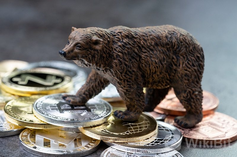 Crypto_Bear-market-e1619172984415.jpg