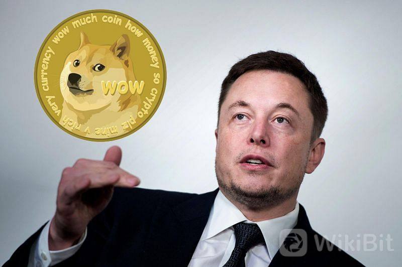 elon-doge.jpeg